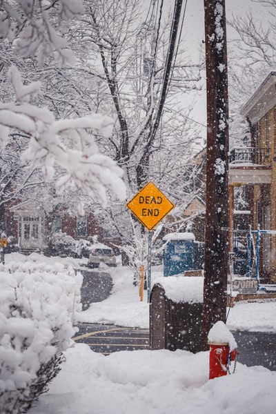 白天，白雪覆盖的道路上光秃秃的树木